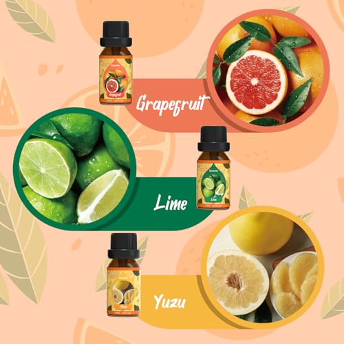 Image of SALKING Citrus Burst Essential Oil Set, Premium Fragrance Oil for Diffuser