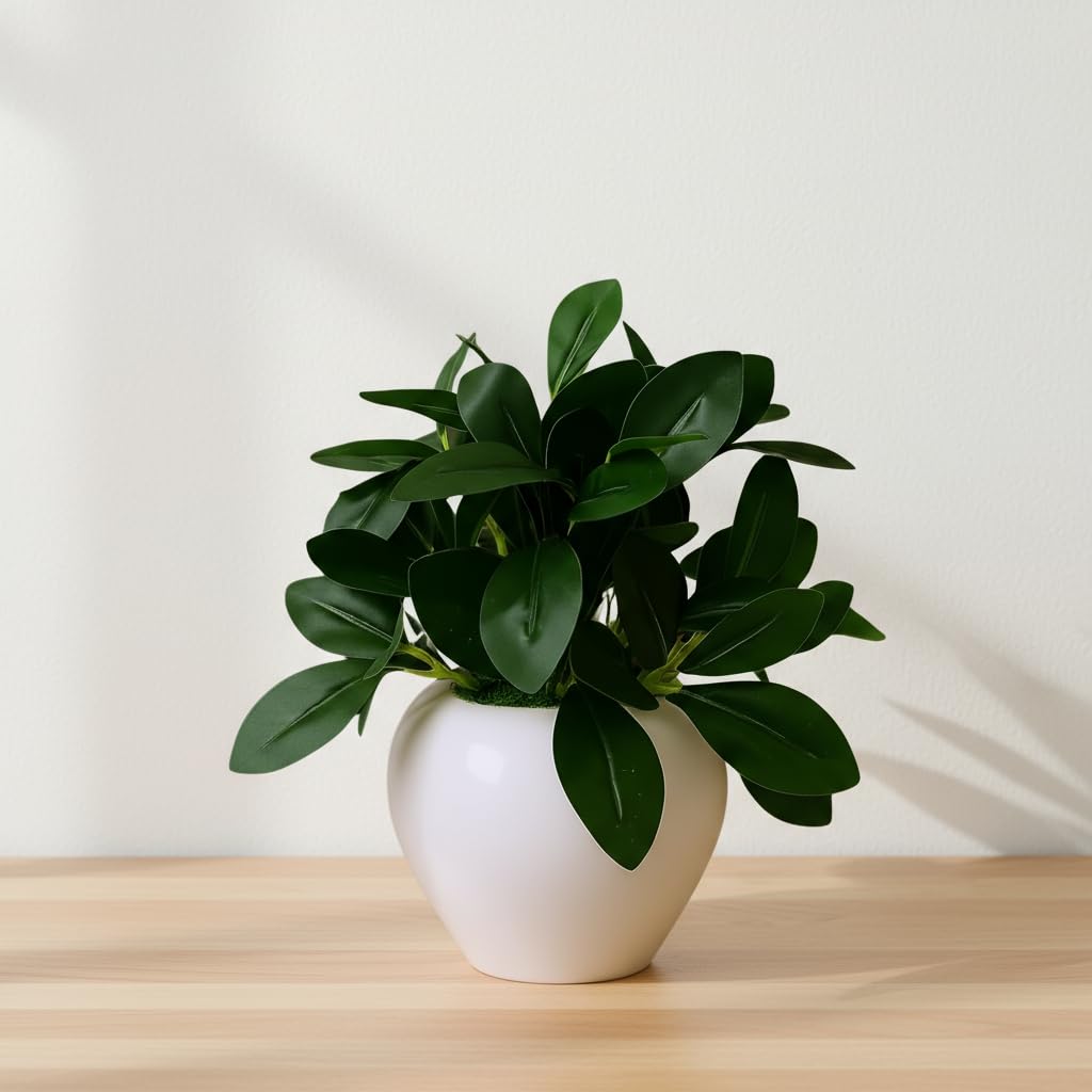 fancymart Plastic Artificial Rubber Plant In 4 Inch White Apple Pot (Height 22 Cm) For Home And Office Decor Plants For Decoration, Realistic Green Decorative For Interior, Evergreen