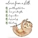 Amazon.com: Inspirational Wall Art Advice from a Sloth Office Wall Art ...