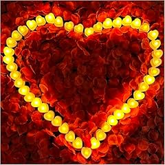 7000 Red Petals + 72 Pcs Warm White Light