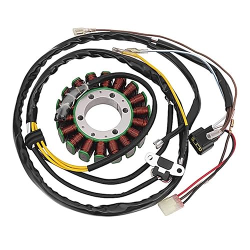Stator de moto pour réparer le système électrique RanHaw Spoma400 450 500 4x4 6x6