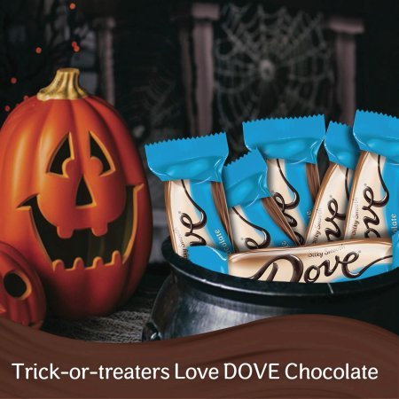 Dove Milk Chocolate Bars - 18 Ct. #TOP4