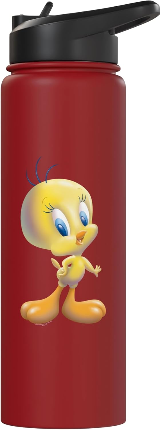 Looney Tunes Tweety Bird Airbrushed Stainless Steel Insulated Water Bottle