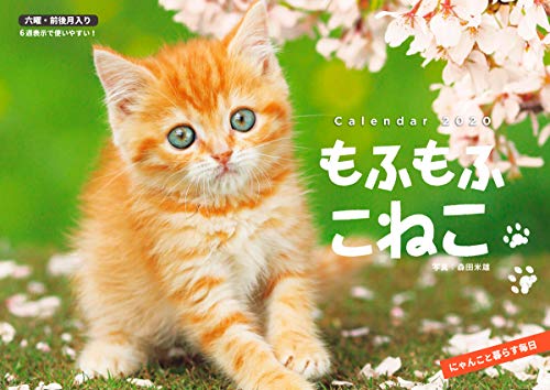 無料電子書籍 おすすめ もふもふこねこ (インプレスカレンダー2020) バイ