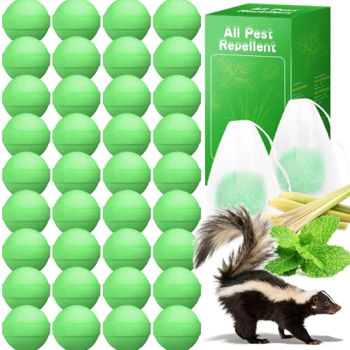 36 Pack Natural Peppermint Oil...