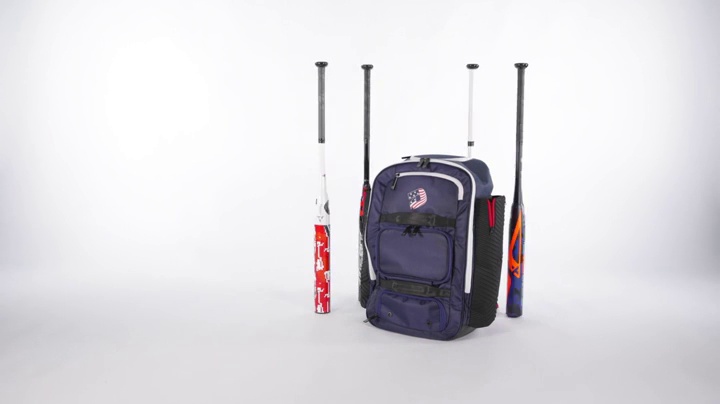 demarini spectre backpack