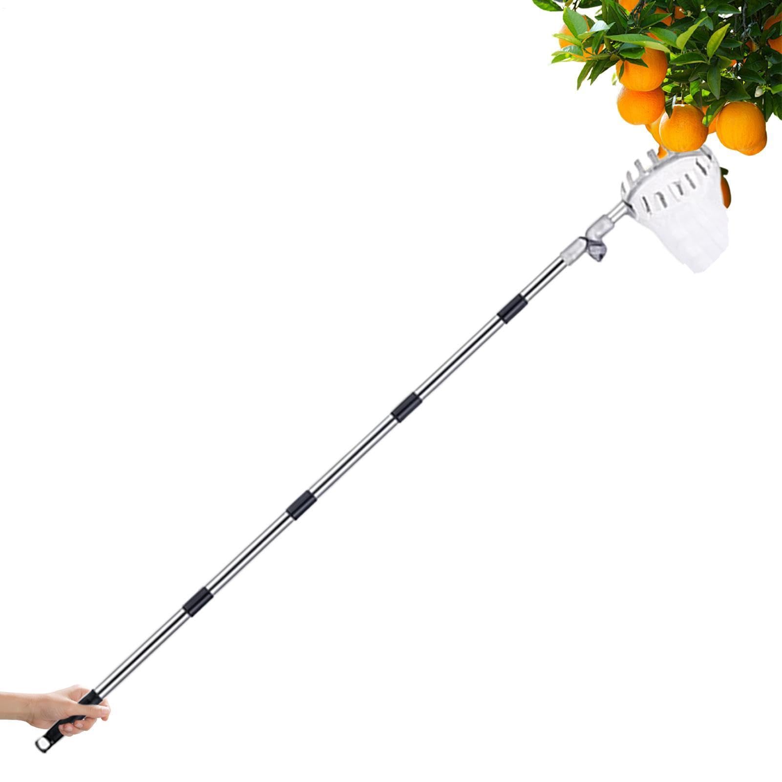 Cesta Recolectora Frutas Recogedor Extensible de Acero Inoxidable con Mango
