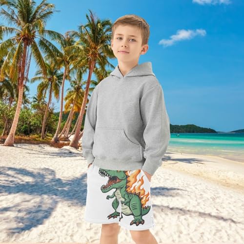 Boys Casual Shorts, Athletic Gym Shorts Elastic Waist with Pockets Cool Fire Dinosaur Summer Sports Homewear 7-15Y4