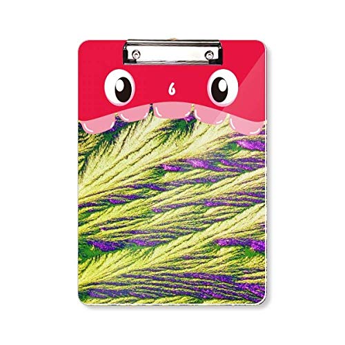 Papier peint A4 Reeds Grappe de plumes pour créer une chambre cocooning