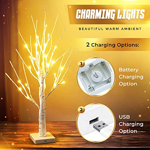Christmas Tree With Lights - Mini Birch Led Twig Tree Ornament With Warm White Led Lights, Battery Operated Table Top Decoration For Christmas, Home And Weddings (1, Warm White) #TOP3