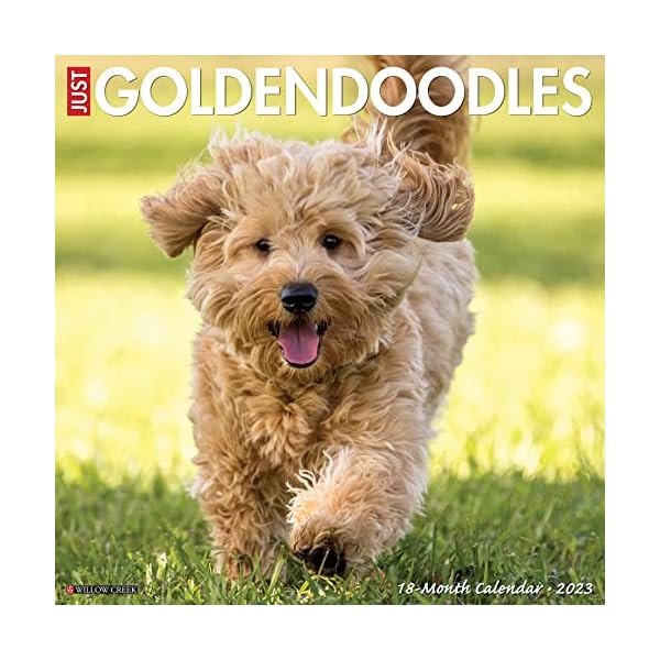 Just Goldendoodles 2023 Wall Calendar