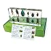 REALBUG 12 Bugs Collection Desk Decoration