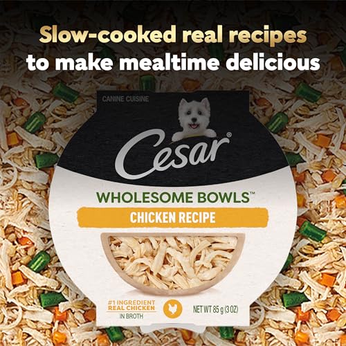 Image of Cesar Wholesome Bowls Wet Dog Food, Chicken Recipe, 3 oz, 10 Count | Real chicken #1 ingredient, slow-cooked, 7 key ingredients, no by-products or artificial flavors, easy to digest