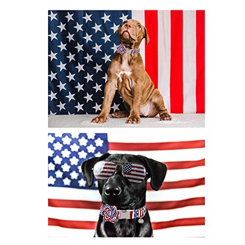 Image of Dog Collar with Flower, 4th of July Comfortable Cotton Dog Collar, American Flag Collar for Small Girl Dog, Patriotic Flower Collar with Metal Buckle, S