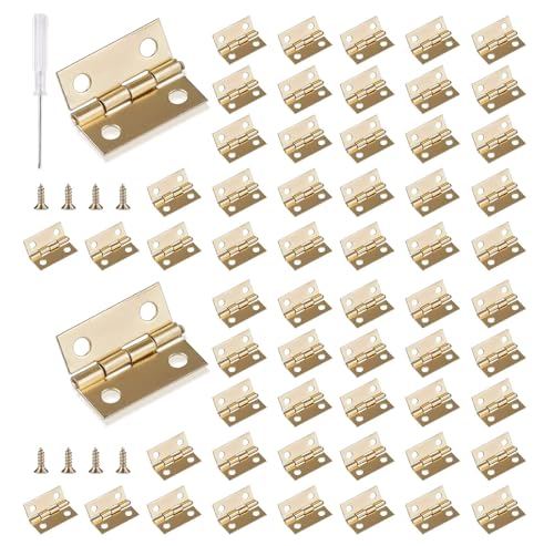 Roosea Charnières Miniatures 60 Pièces Rétro pour Boîte à Bijoux avec Tournevis et 240 Vis, 15mm*18mm, Doré
