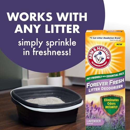 Image of Arm & Hammer Forever Fresh Cat Litter Deodorizer, Wild Lavender, Essential Oils, Baking Soda Odor Neutralizer, 30 oz. Pack of 6 (Packaging May Vary)