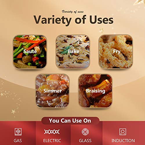 Csk 10"+12"Nonstick Frying Cookware Sets With Lids-Frying Pan Sets With Whitford Granite Coating,Classic Skillet Pan Cookware,Pfoa & Apeo Free, Aluminum Alloy,Bakelite Handle,Induction Compatible.… #TOP5