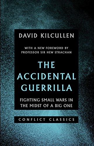 The Accidental Guerrilla view 2