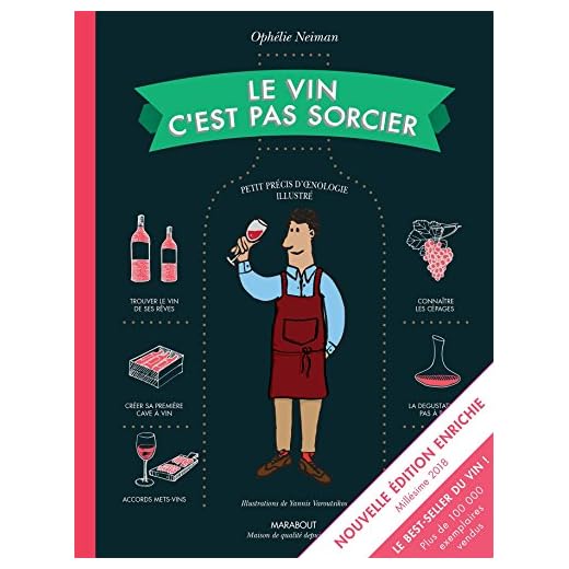 Le vin c'est pas sorcier Nouvelle Edition