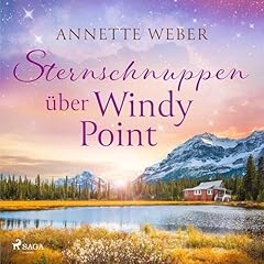 Sternschnuppen über Windy Point Titelbild