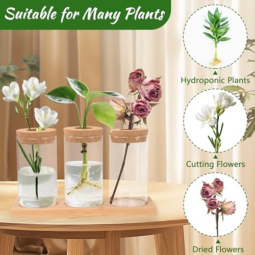 Yesaler Ableger Pflanzen Glas Propagation Station mit Holzdeckel Tablett Hydroponische Vase Anzuchtstation für Hydrokultur Pflanzen 3 Stück