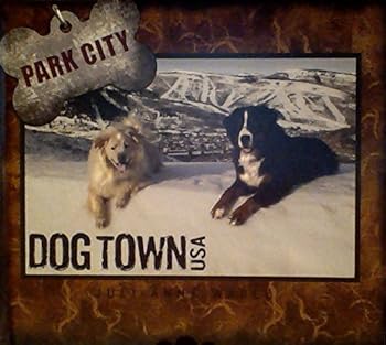 Hardcover Park City: Dog Town USA Book