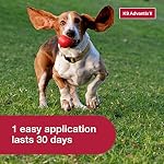 K9 Advantix II Small Dog Vet-Recommended Flea, Tick & Mosquito Treatment & Prevention | Dogs 4-10 lbs. | 4-Mo Supply - Image 5