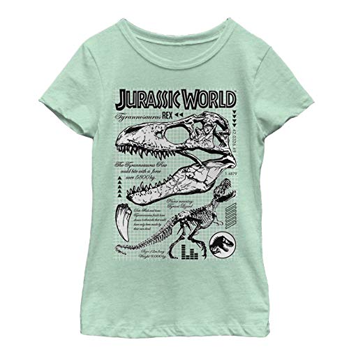 Fifth Sun Girl's Bones Brigade T-Shirt - Main Image