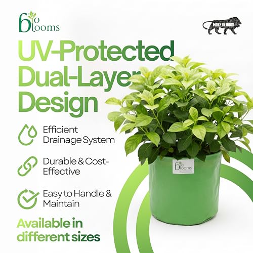 Image of Bio Blooms Round HDPE Plant Grow Bag for Terrace & Kitchen Gardening | 12x12 | 200 GSM Heavy Duty Outdoor Grow Bag | Durable Planter for Vegetables, Flowers & Plants | Green & Orange