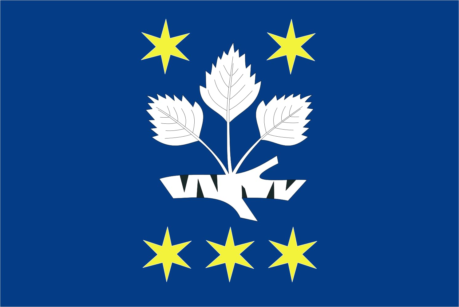 Drapeau paysage de haute qualité Březejc grand format 1.35m²