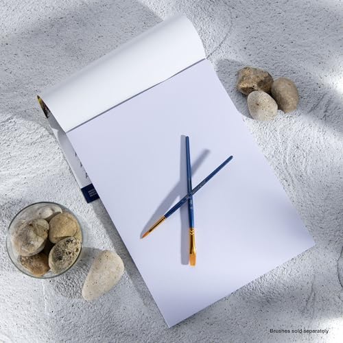 Royal Brush Royal Langnickel 22-Sheet Oil and Acrylic Essentials Artist Paper Pad, 9-Inch by 12-Inch