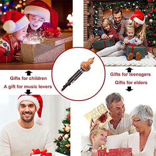 Professionele Hulusi, Kalebasfluit Met Lederen Doos, Gift Kalebasfluit Etnische Muziekinstrument Voor Voor Student… - Image 5
