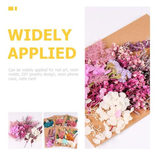 Kit de flores secas para manualidades y decoración miniatura 4