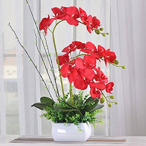 Fiori artificiali SCFLOWER Orchidee in Plastica