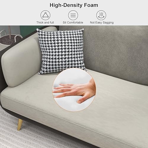 Image of Black Wood Modern Luxury Velvet Fabric 3 Seater Sofa in Bug Resistant Solid Wood for Bedroom, Living Room, Dining Room, Drawing Room, Home Office (Dark Grey & Beige, 3 Seater, Classic)