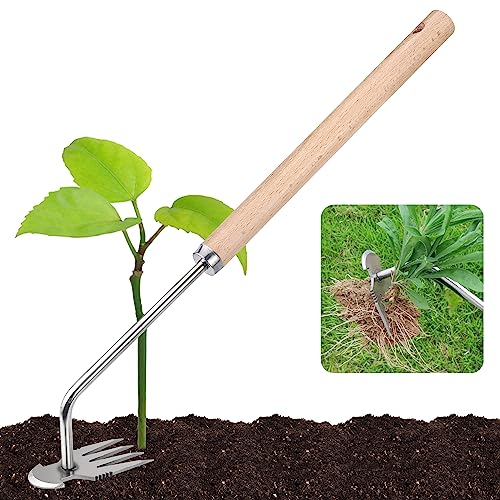 Top 10 Best Long Handled Weeding Tools Reviews & Buying Guide Katynel