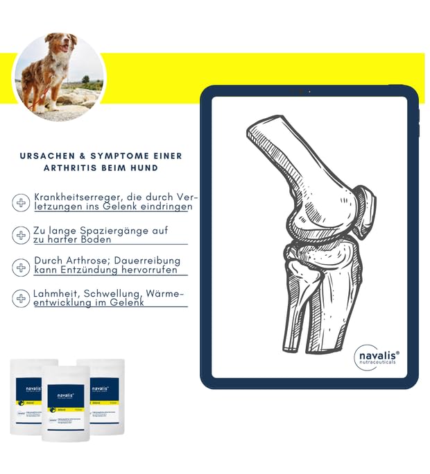 navalis doloral Dog Pulver | 160 g | Ergänzungsfuttermittel für Hunde | Mit Kurkuma & Teufelskralle