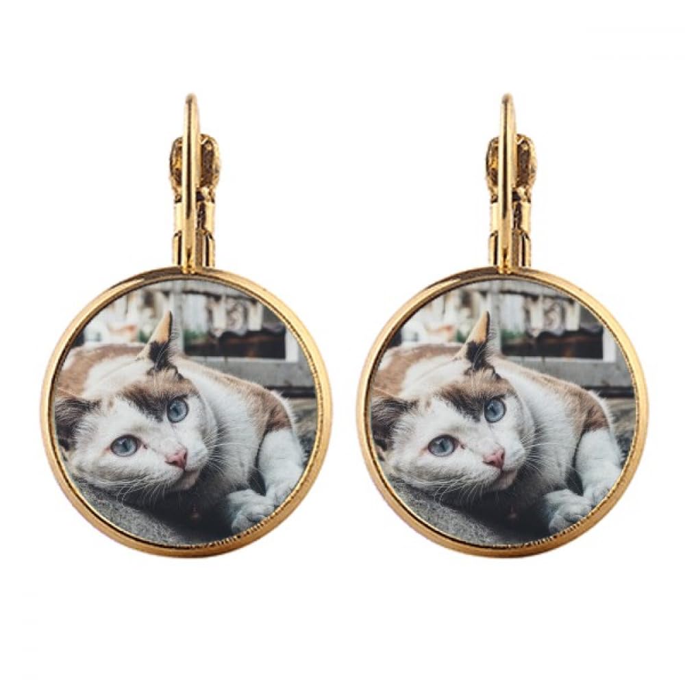 Boucles d'oreilles chat coloré à clip or confort durable - 4