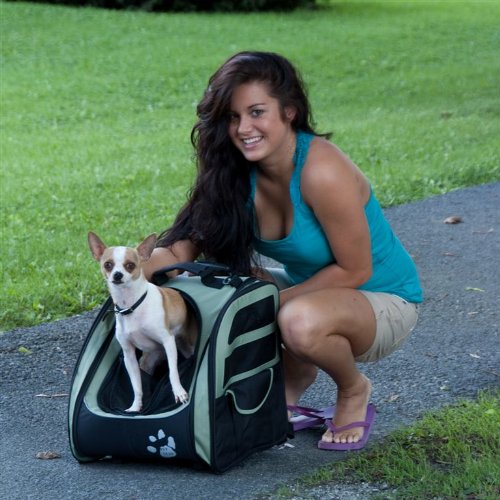 pet gear rolling backpack