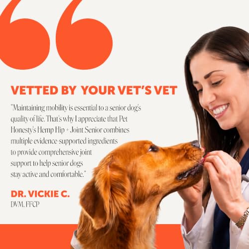 Image of Senior Hemp Hip and Joint Supplement for Dogs - Glucosamine Chondroitin, MSM & Green Lipped Mussel - Relief for Joint Stiffness, Advanced Strength Mobility Support for Senior Dogs (Chicken, 90 Ct)
