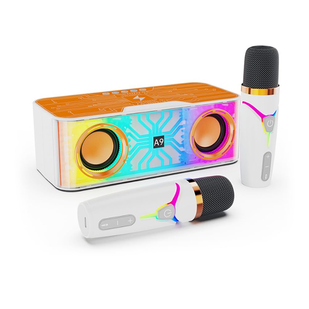 Mic karaoké cadeaux pour anniversaire avec haut-parleur portable BT HUIOP