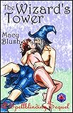 The Wizard's Tower: A Spellblinding Sequel (The Macy Blush Collection)