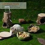 Hamster Food Bowl, 2 Packs Ceramic Leaf Hamster Bowls Guinea Pig Food Dish Water Bowls for Gerbil Mouse Chinchilla Hedgehog - Image 2