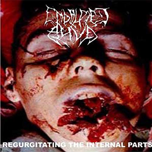 Regurgitating the Internal Parts [Explicit]