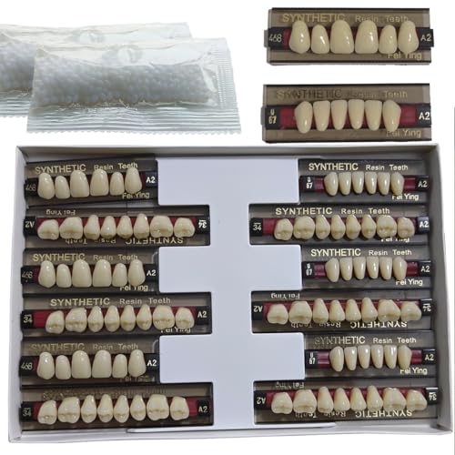 Image of A2 of Maximum Standard Size Teeth Fake Teeth, Tooth KitDIY All Teeth 3 Sets.Dental Education,Dental Teeth Teaching Model(New 1 Box)