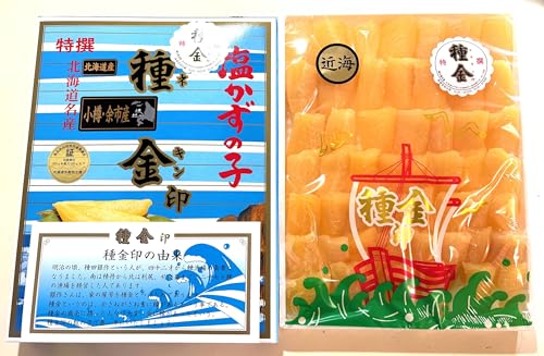 znے y ̎qzkCY̎q500 (ϔ)I ̂ JYmR  Mtg Ε N