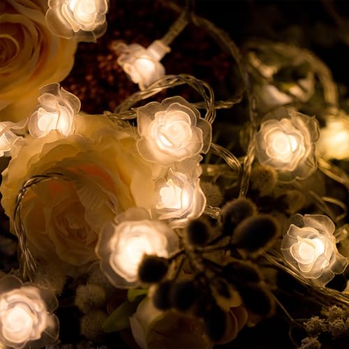 KOBOKO 3M Rosen Lichterkette mit 20 LED Blumen, Batteriebetrieben - Dekorative Rosenkette für Garten, Innen, Außen, Terrasse, Partys (Warmes Licht)