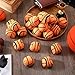 Liliful 24 Pcs 2.56 Inch Footbag Bulk Small Hacky Ball Multicolored Foot Sack Indoor Outdoor Toy for Kids Adults Teens Beginners Funny Gifts Juggling Playing Games Party Favors (Basketball)