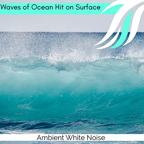 Waves Foam Nature Birds Sound