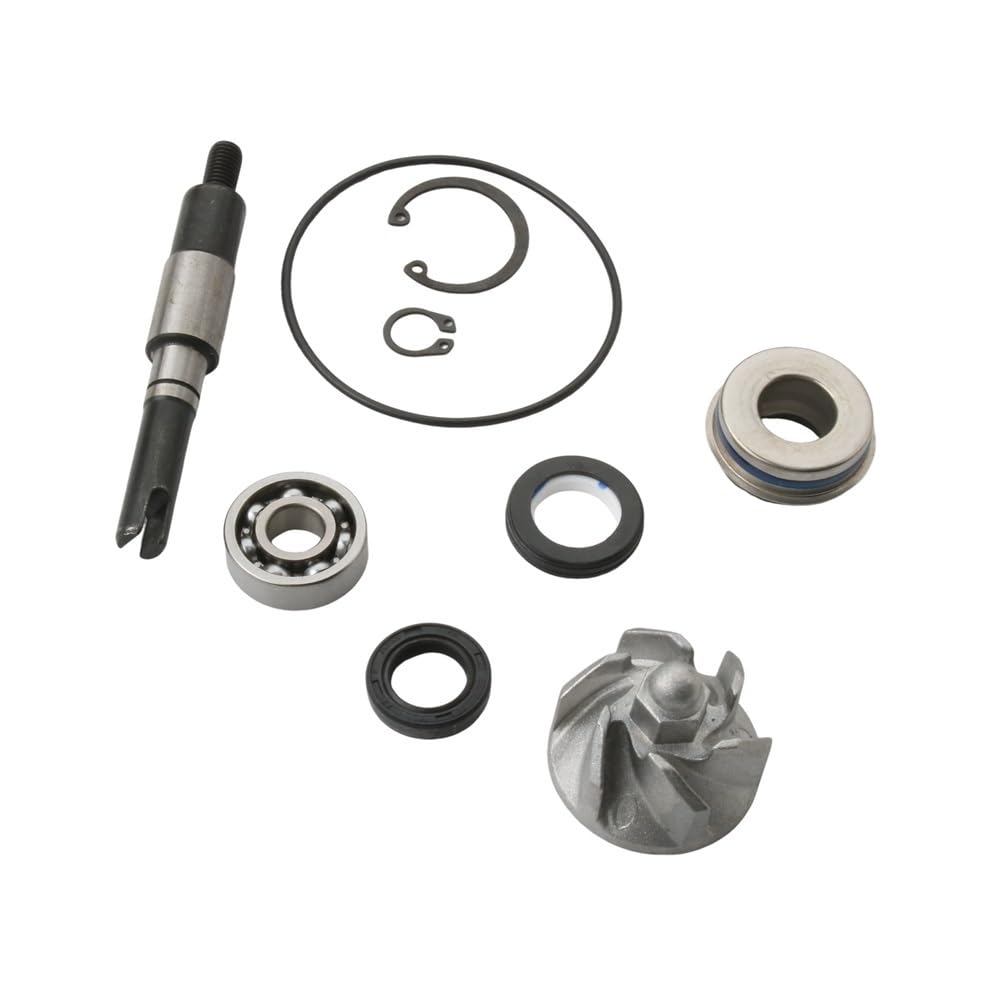 Pompa Acqua Gruppo Pompa Per HONDA Chiocciola Dylan SES FES | 125i Pantheon NES SH Scoopy 100110190 KGFKit di riparazione pompa acqua